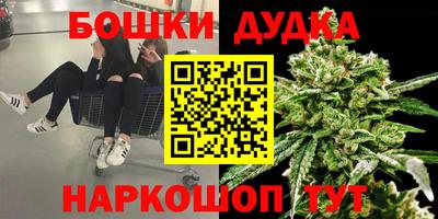 СК Шахты