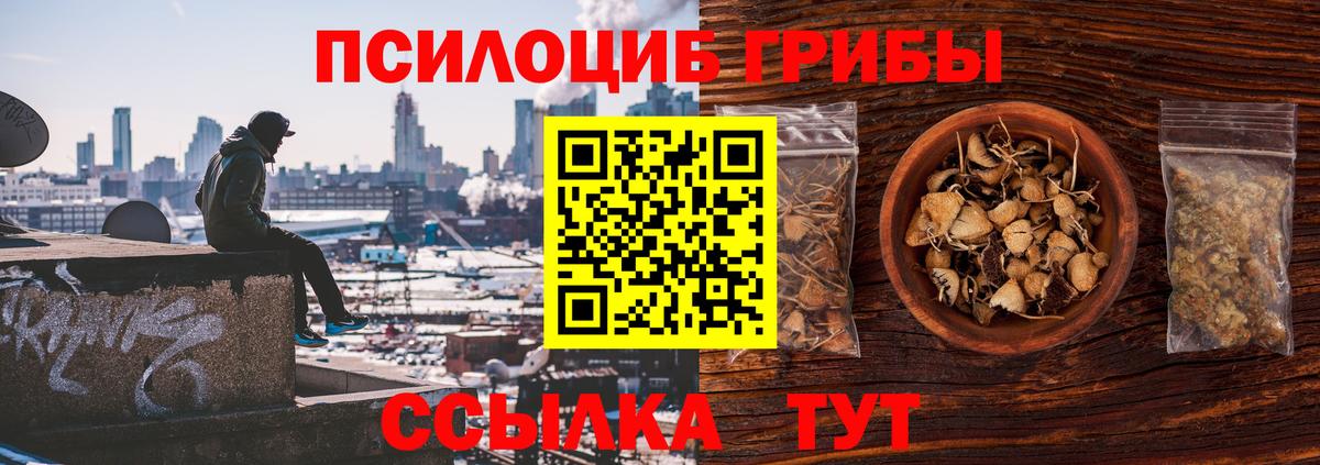 Галлюциногенные грибы ЛСД  Галлюциногенные грибы прущие грибы  Видное  Вход с VPN 